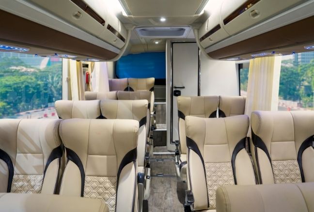 Deluxe Entertainer Coaches